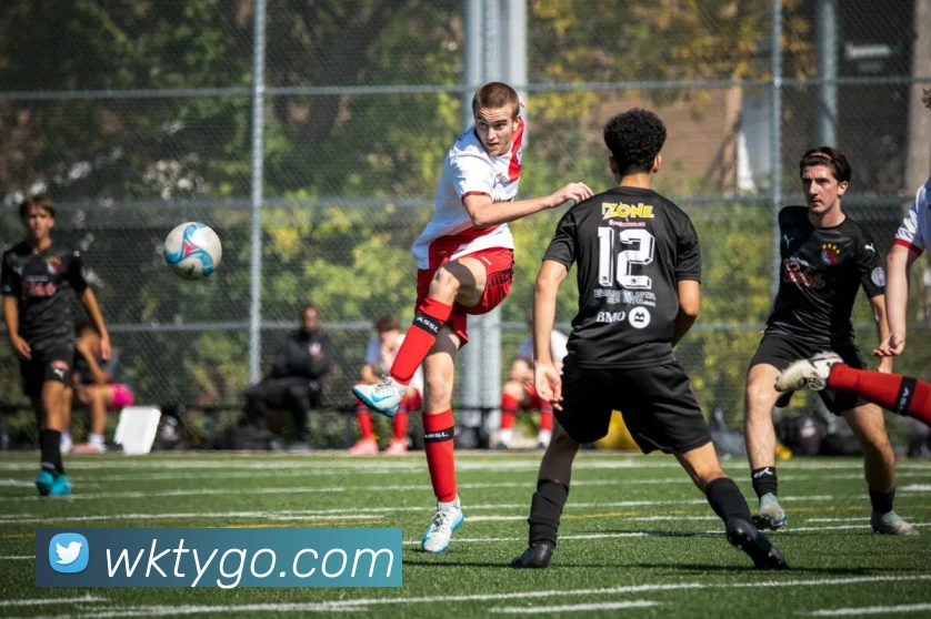 悟空体育平台生态图