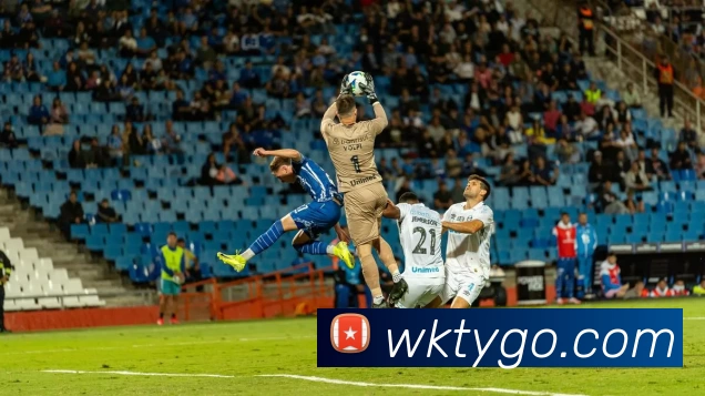 悟空体育APP 封面图